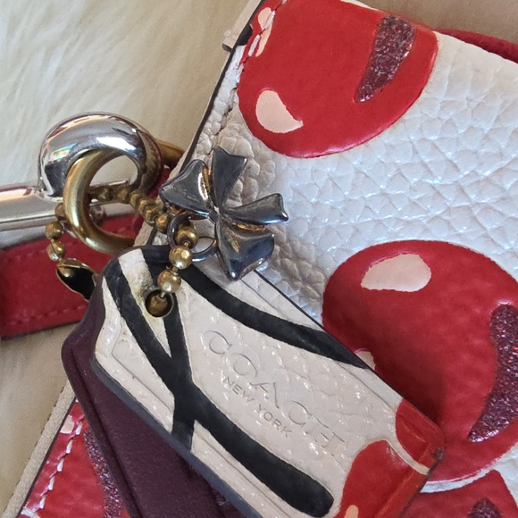 Coach Cherry Collection 2023 Nolita 19 Pink Bag | TikTok Adorable Coach Double Zippered Pocket Sparkle Cherry Crossbody Bag ❤️🍒🤍